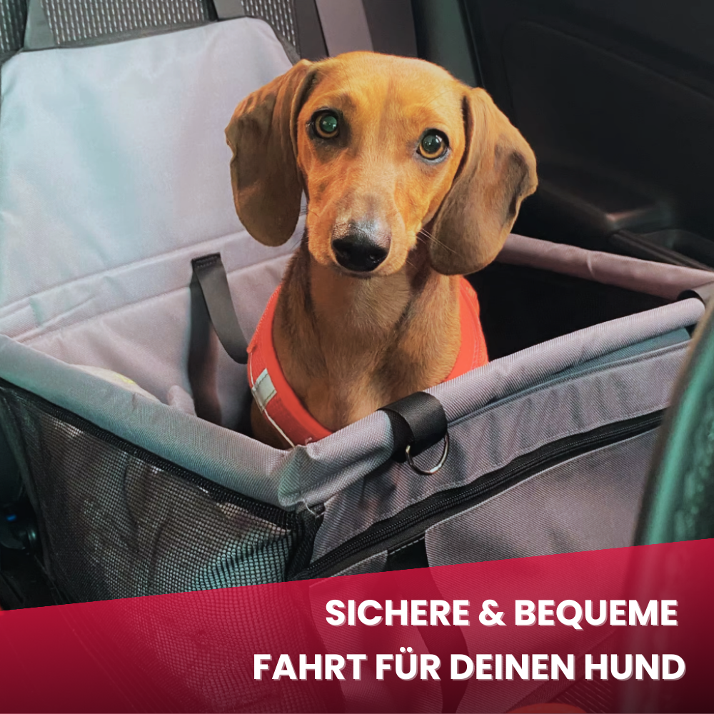 Faltbarer Hundekorb – Sicherheit und Geborgenheit bei jeder Autofahrt
