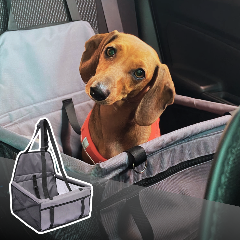 Faltbarer Hundekorb – Sicherheit und Geborgenheit bei jeder Autofahrt