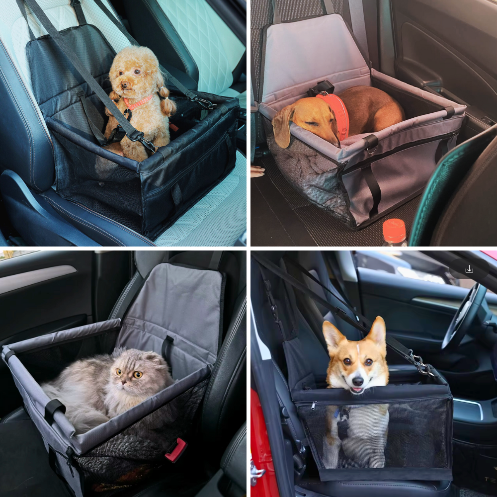 Faltbarer Hundekorb – Sicherheit und Geborgenheit bei jeder Autofahrt